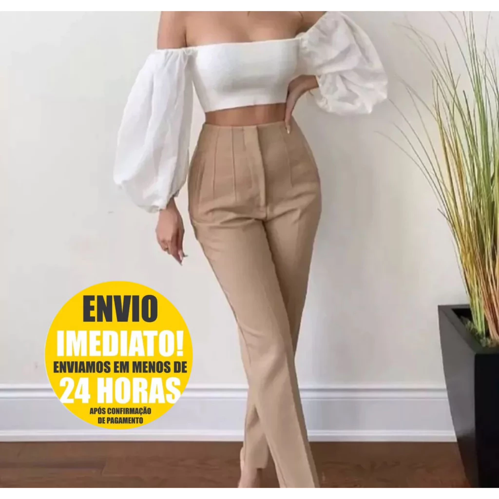 Calça Alfaiataria Zara Feminina Cintura Alta Com ziper Social